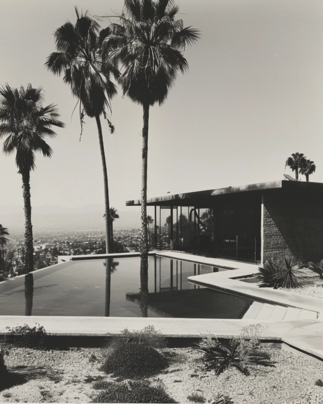 LA back yard pool