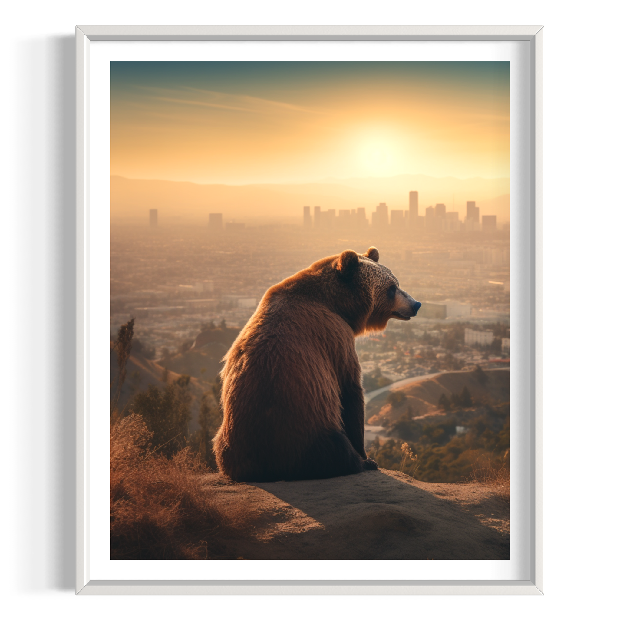 Californian bear