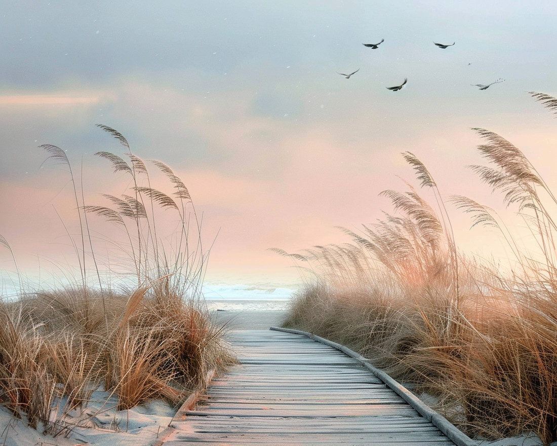 beach path